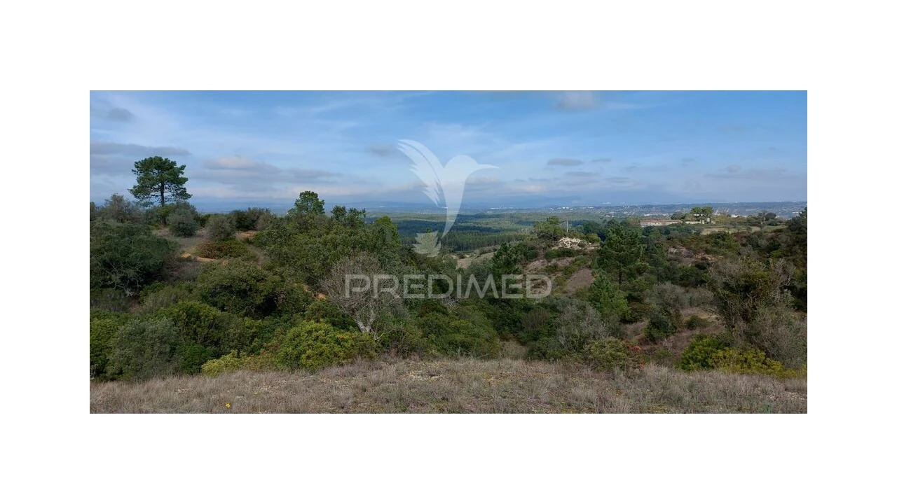 Terreno para Venda em Arneiro das Milhariças Foto 19