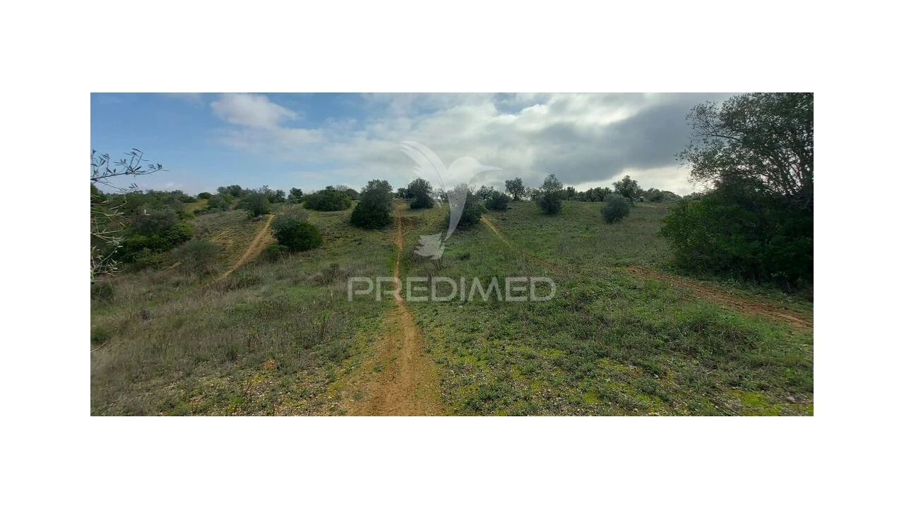 Terreno para Venda em Arneiro das Milhariças Foto 4