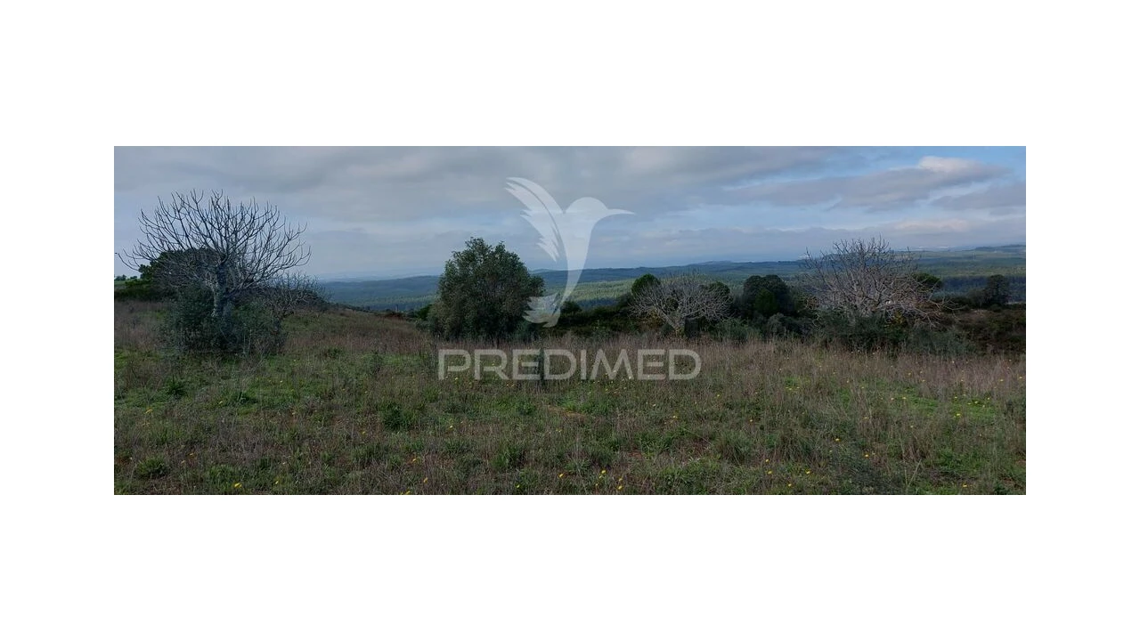 Terreno para Venda em Arneiro das Milhariças Foto 13