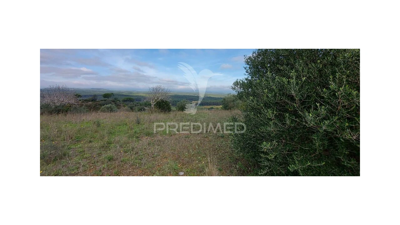 Terreno para Venda em Arneiro das Milhariças Foto 17