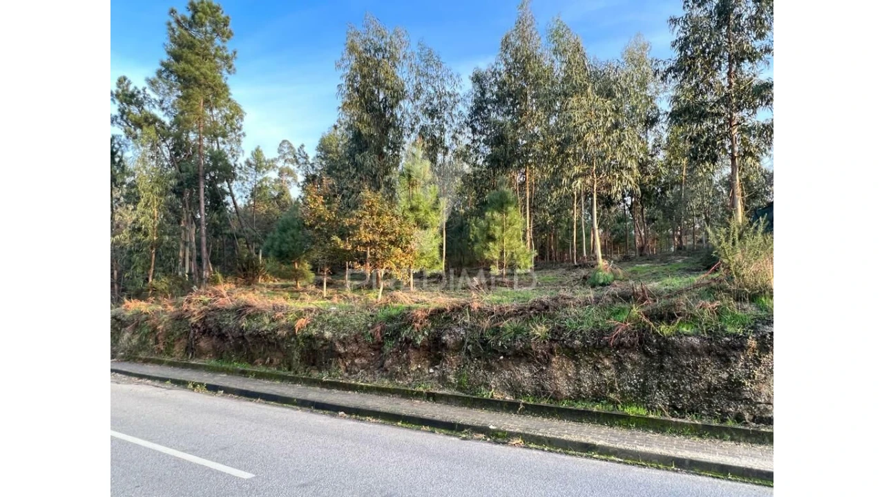 Terreno para Venda em Regadas Foto 1