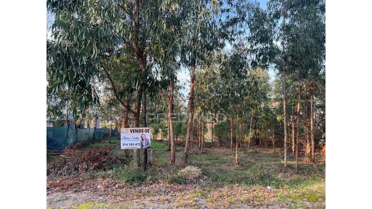 Terreno para Venda em Regadas Foto 6