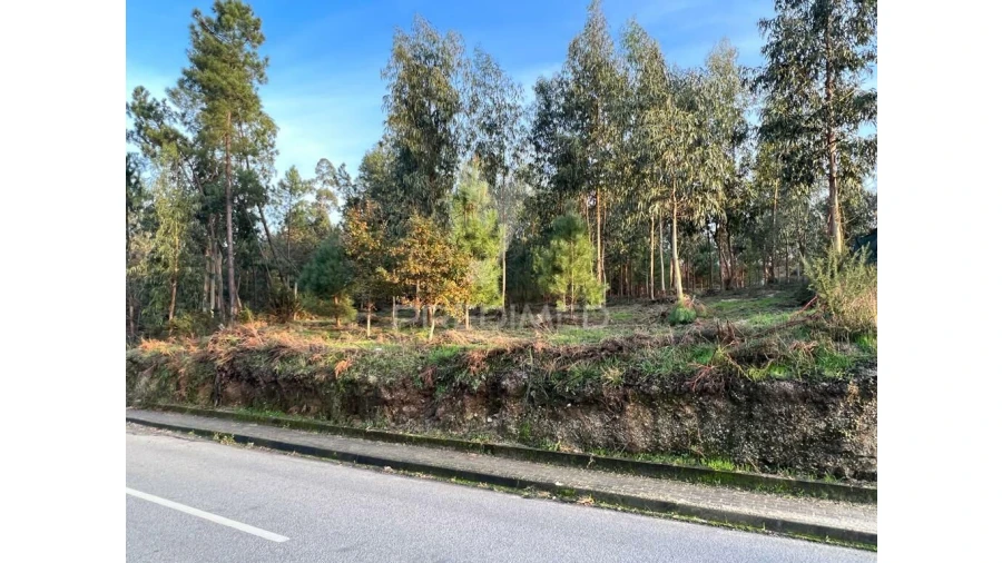 Terreno para Venda em Regadas