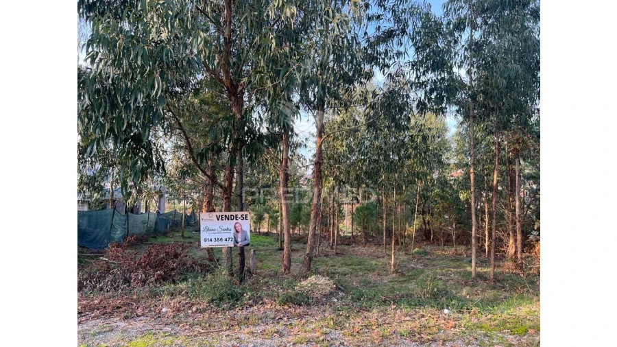 Terreno para Venda em Regadas Foto 6