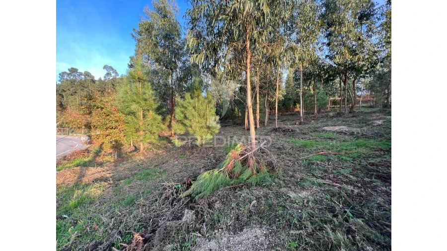 Terreno para Venda em Regadas Foto 3