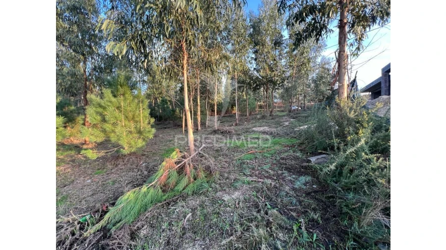 Terreno para Venda em Regadas Foto 4