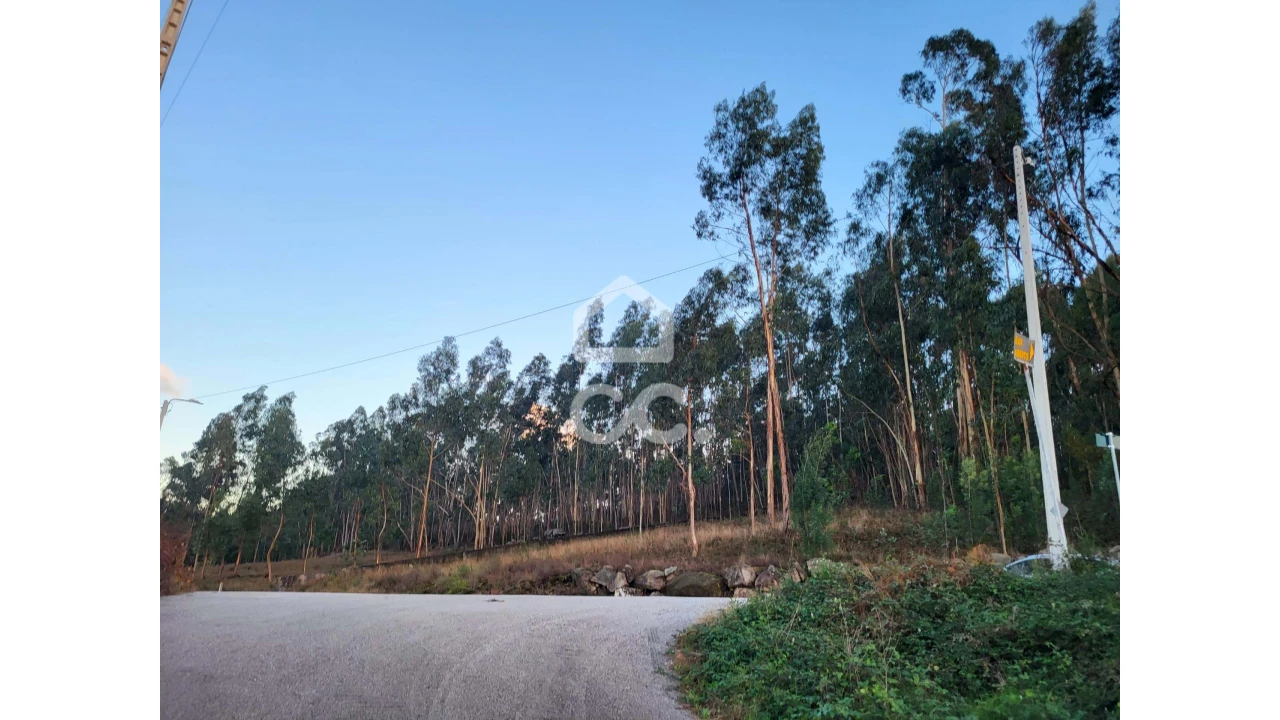 Terreno para Venda em Sande São Lourenço e Balazar Foto 5