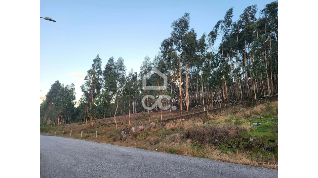 Terreno para Venda em Sande São Lourenço e Balazar Foto 9