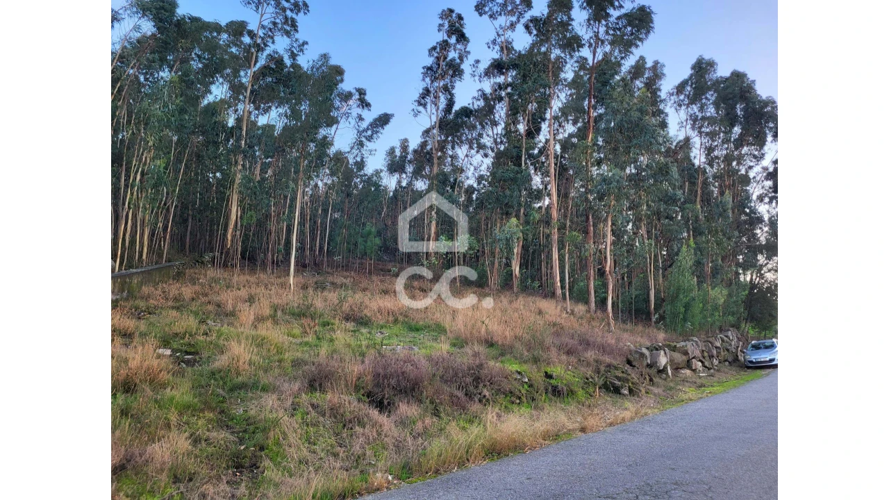 Terreno para Venda em Sande São Lourenço e Balazar Foto 11