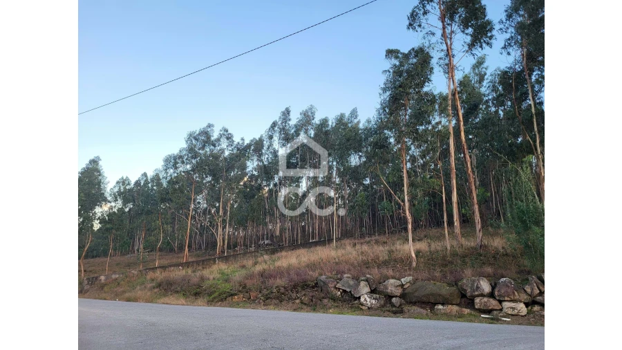 Terreno para Venda em Sande São Lourenço e Balazar Foto 7