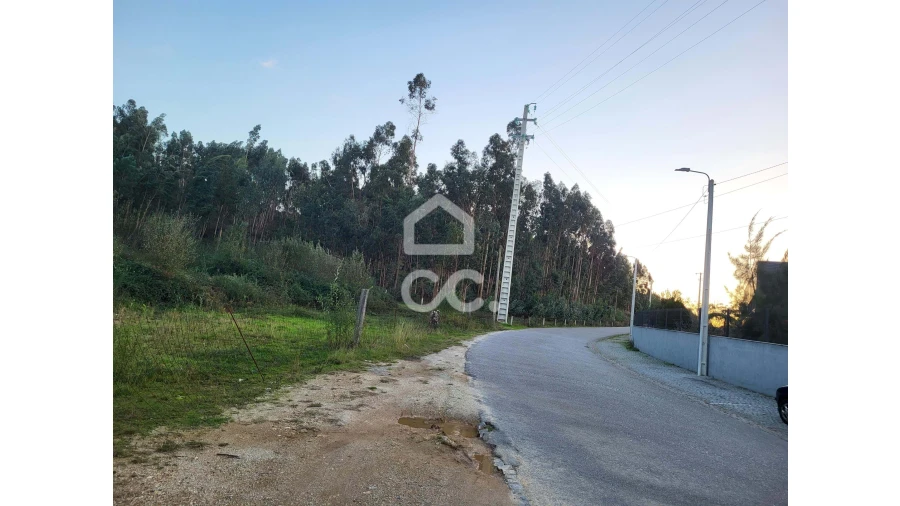 Terreno para Venda em Sande São Lourenço e Balazar Foto 4