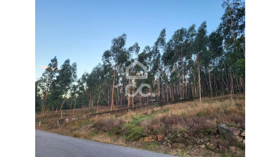 Terreno para Venda em Sande São Lourenço e Balazar Foto 8