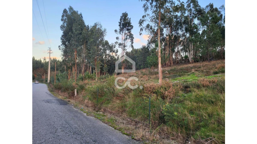 Terreno para Venda em Sande São Lourenço e Balazar