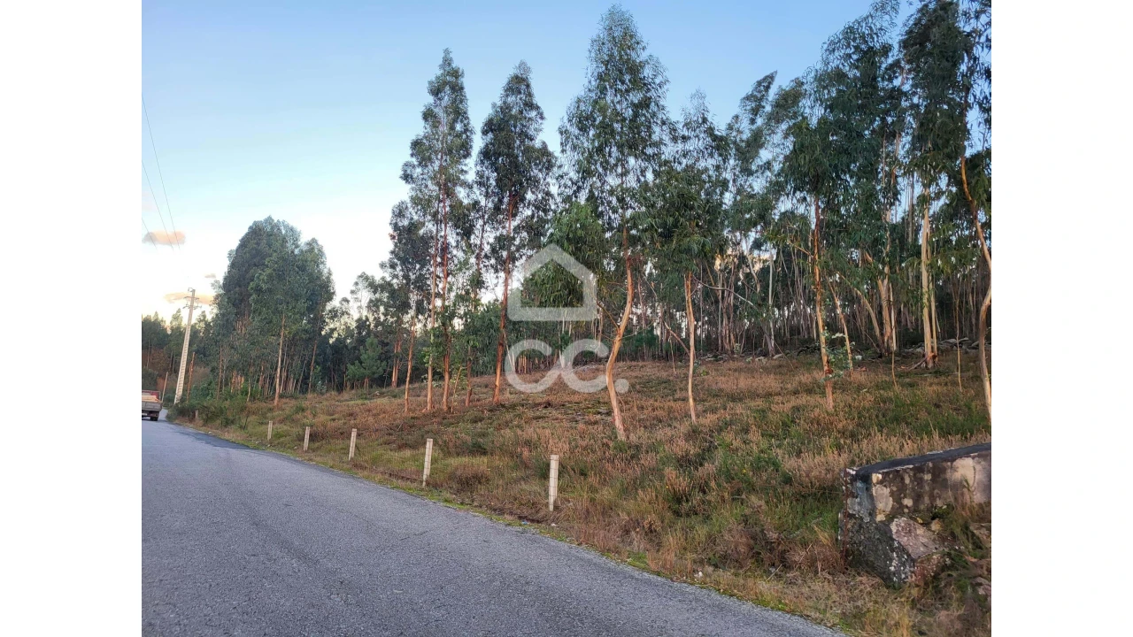 Terreno para Venda em Sande São Lourenço e Balazar Foto 10