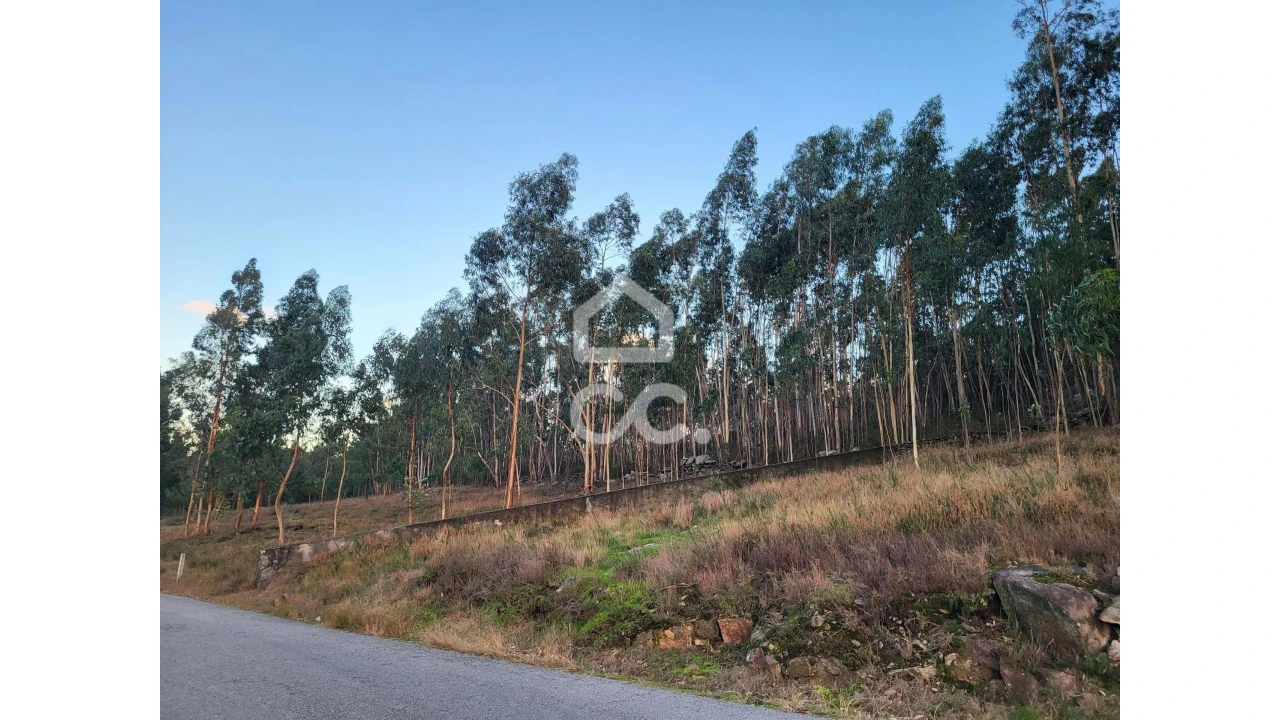 Terreno para Venda em Sande São Lourenço e Balazar Foto 8