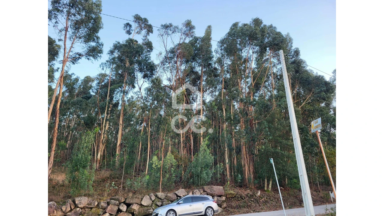 Terreno para Venda em Sande São Lourenço e Balazar Foto 6