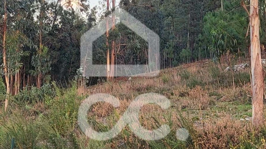 Terreno para Venda em Sande São Lourenço e Balazar