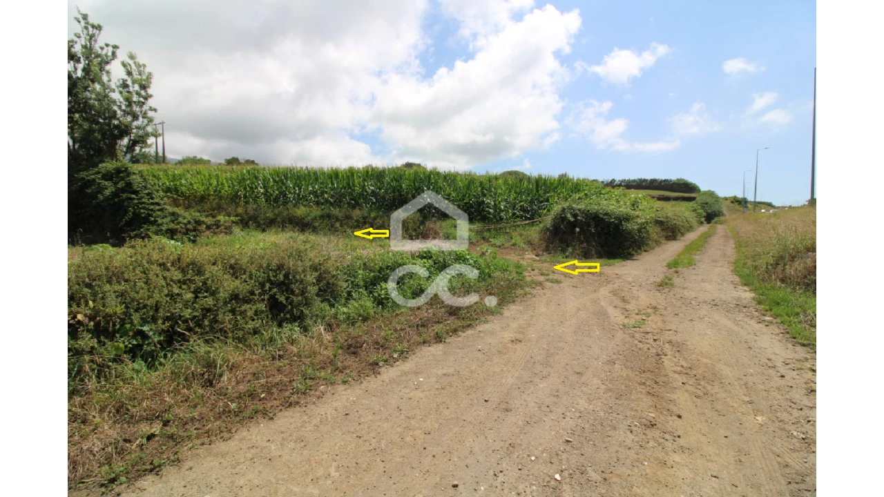 Terreno para Venda em Lagoa (Santa Cruz) Foto 5