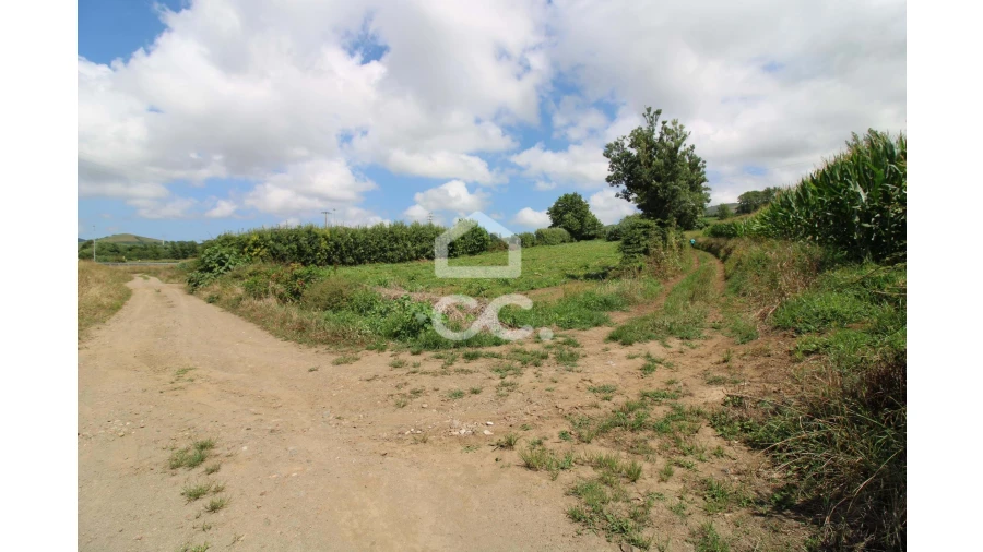 Terreno para Venda em Lagoa (Santa Cruz) Foto 6