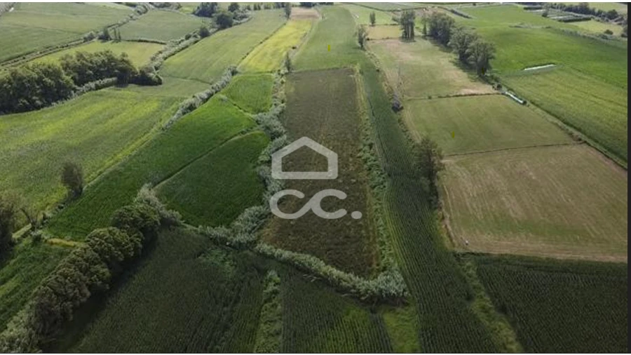 Terreno para Venda em Lagoa (Santa Cruz) Foto 5