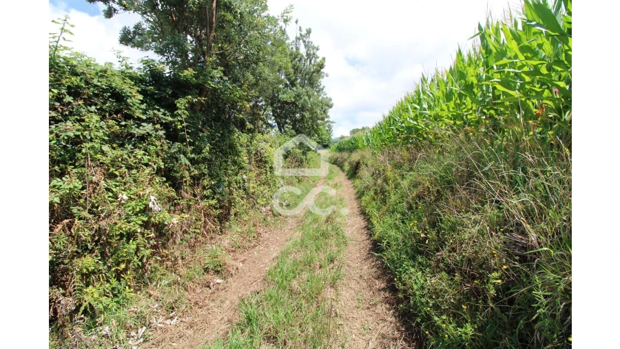 Terreno para Venda em Lagoa (Santa Cruz) Foto 7