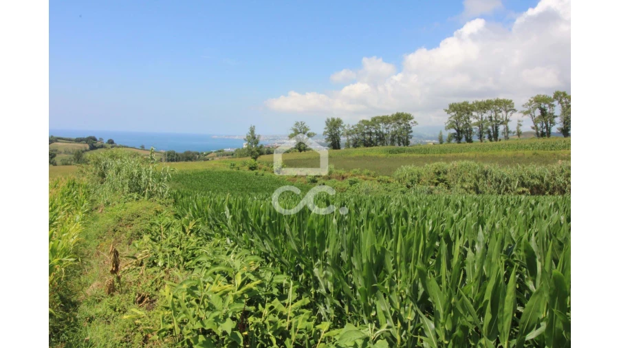Terreno para Venda em Lagoa (Santa Cruz) Foto 9