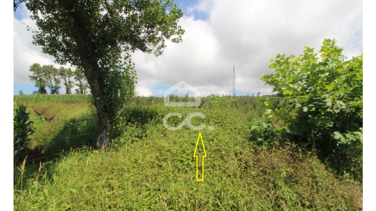 Terreno para Venda em Lagoa (Santa Cruz) Foto 9