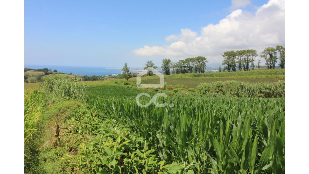 Terreno para Venda em Lagoa (Santa Cruz) Foto 10