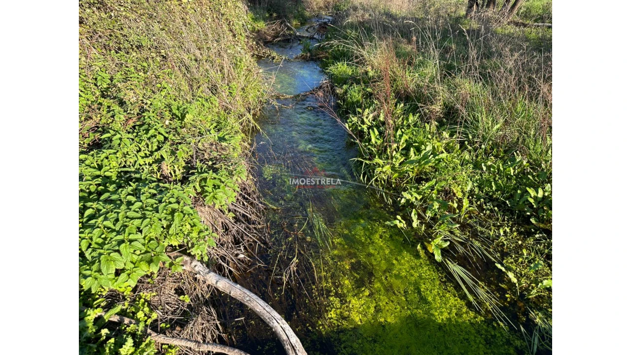 Quinta T0 para Venda em Vila Cortes da Serra Foto 7
