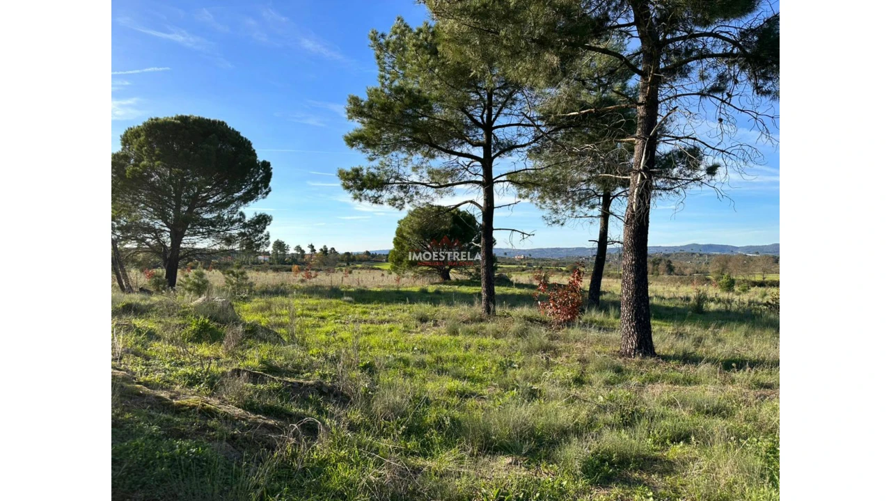Quinta T0 para Venda em Vila Cortes da Serra Foto 13