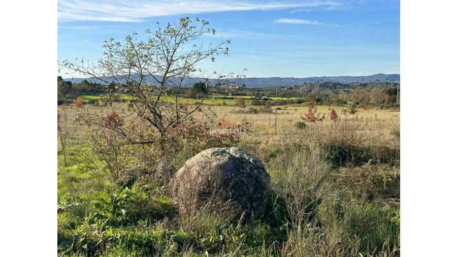 Quinta T0 para Venda em Vila Cortes da Serra Foto 12