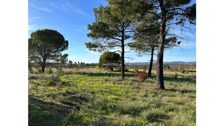 Quinta T0 para Venda em Vila Cortes da Serra Foto 13