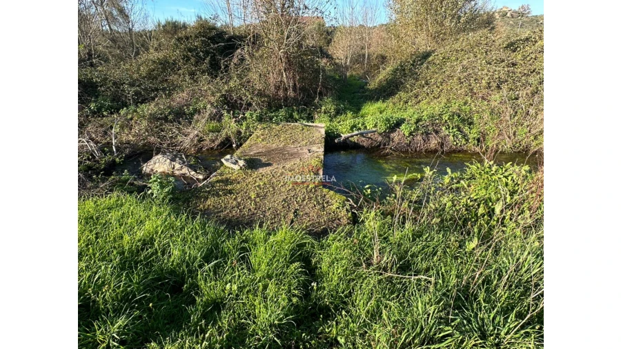 Quinta T0 para Venda em Vila Cortes da Serra Foto 6