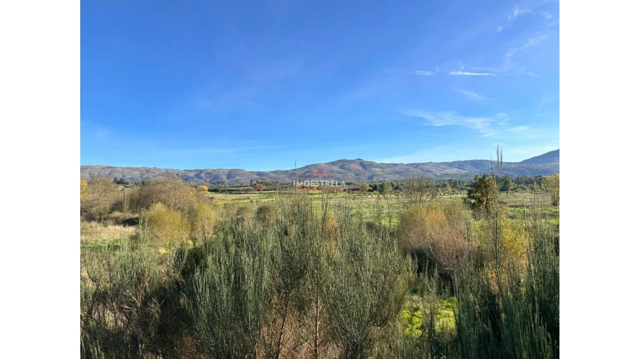 Quinta T0 para Venda em Vila Cortes da Serra Foto 9