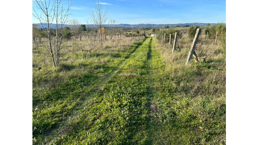 Quinta T0 para Venda em Vila Cortes da Serra Foto 5
