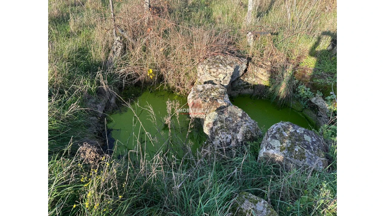 Quinta T0 para Venda em Vila Cortes da Serra Foto 11