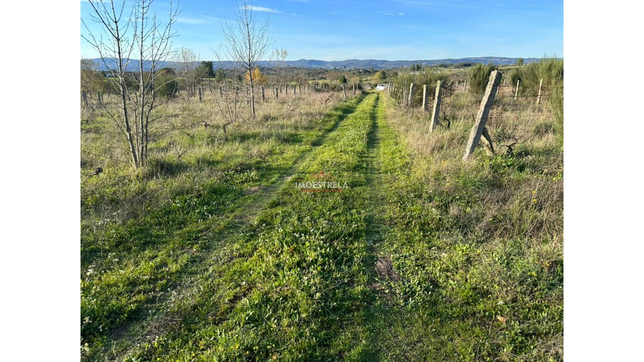Quinta T0 para Venda em Vila Cortes da Serra Foto 5