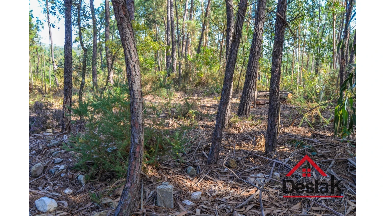 Terreno Agricola ou Rústico para Venda em Carvalhais e Candal Foto 7