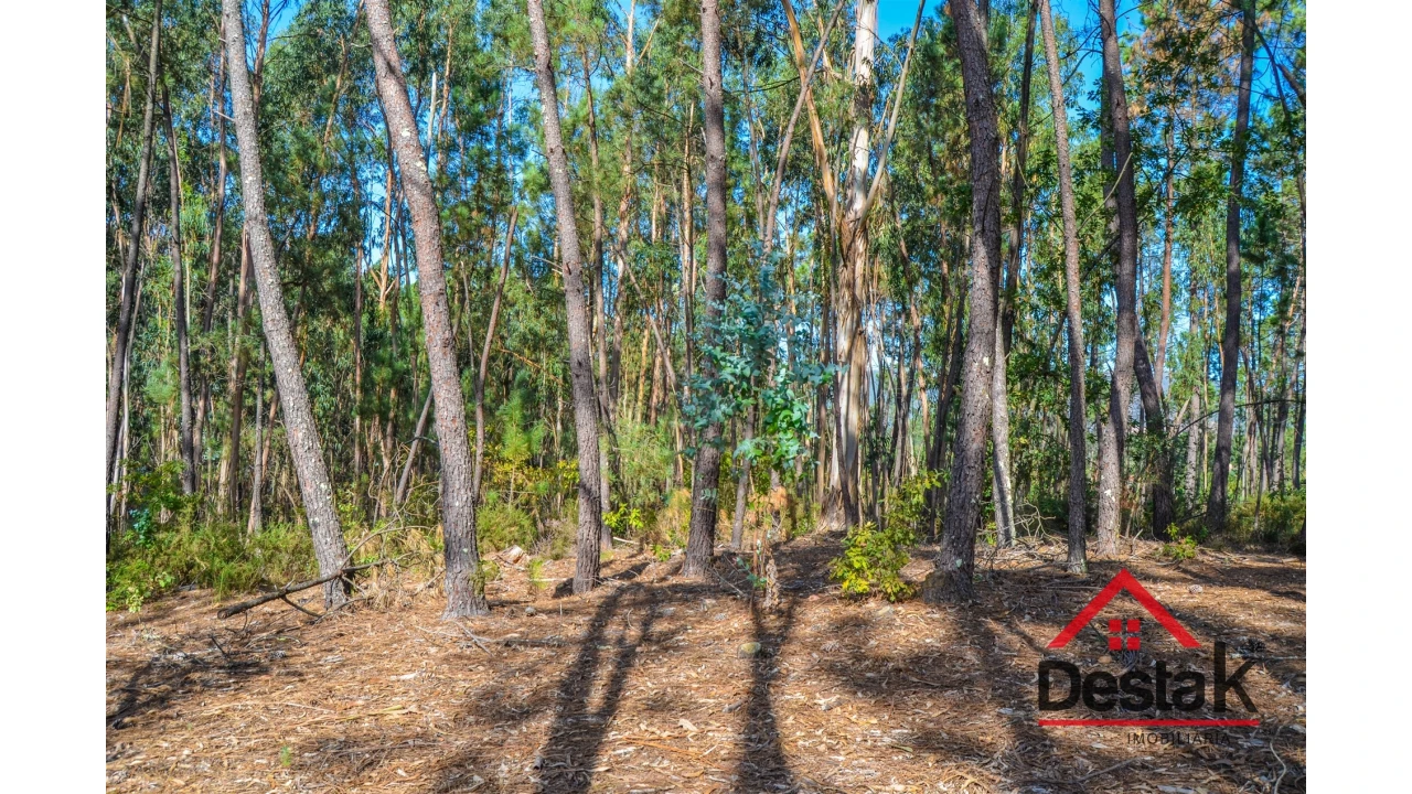Terreno Agricola ou Rústico para Venda em Carvalhais e Candal Foto 9
