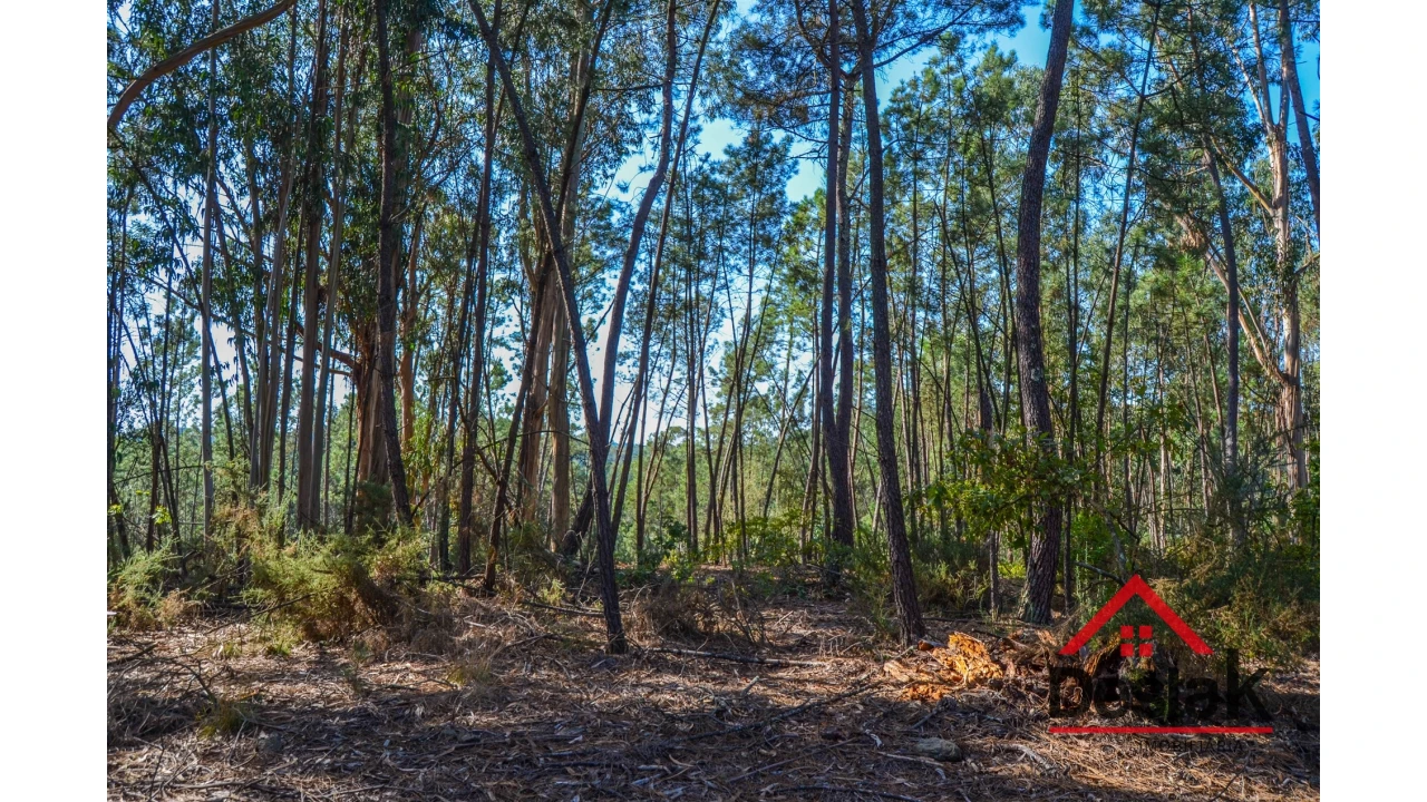 Terreno Agricola ou Rústico para Venda em Carvalhais e Candal Foto 6