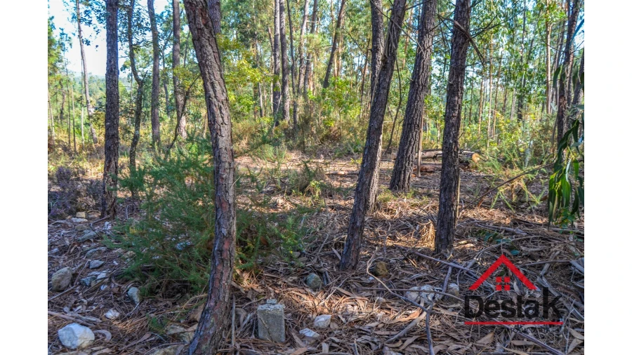 Terreno Agricola ou Rústico para Venda em Carvalhais e Candal Foto 7