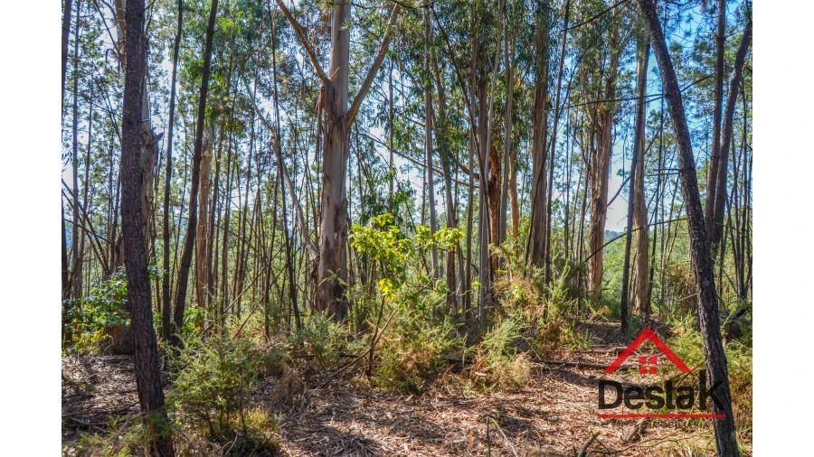 Terreno Agricola ou Rústico para Venda em Carvalhais e Candal