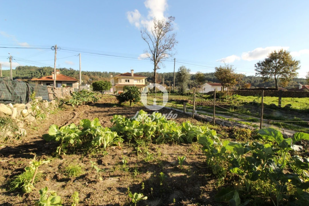 Terreno para Venda em Ribeiros Foto 2