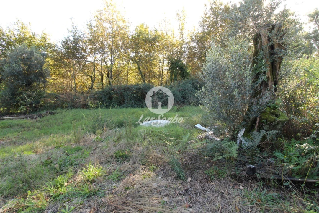 Terreno para Venda em Ribeiros Foto 5