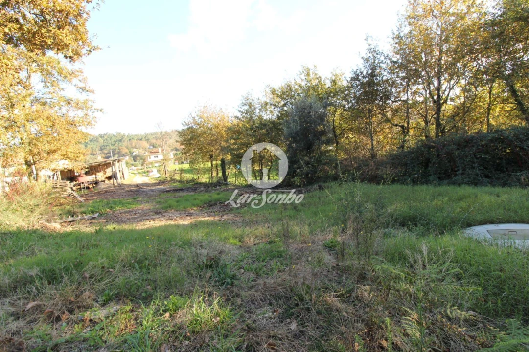 Terreno para Venda em Ribeiros Foto 6