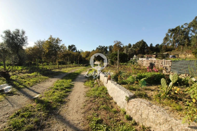 Terreno para Venda em Ribeiros Foto 1