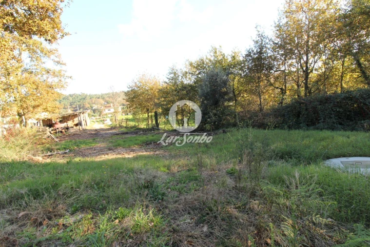 Terreno para Venda em Ribeiros Foto 6