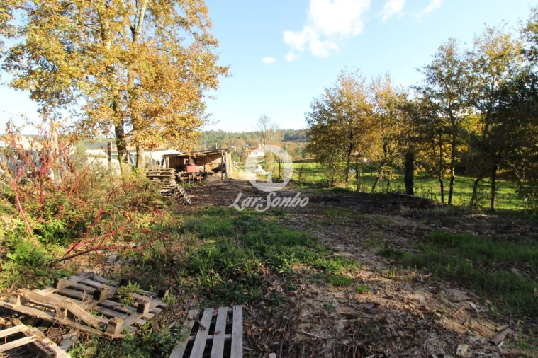 Terreno para Venda em Ribeiros Foto 7