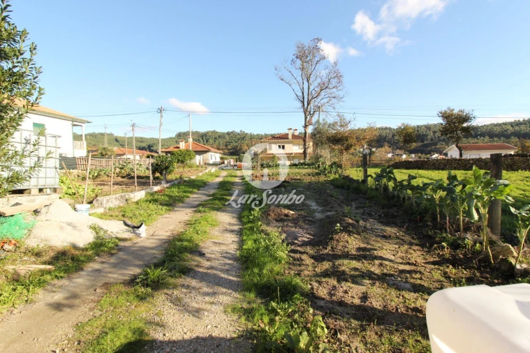 Terreno para Venda em Ribeiros Foto 8