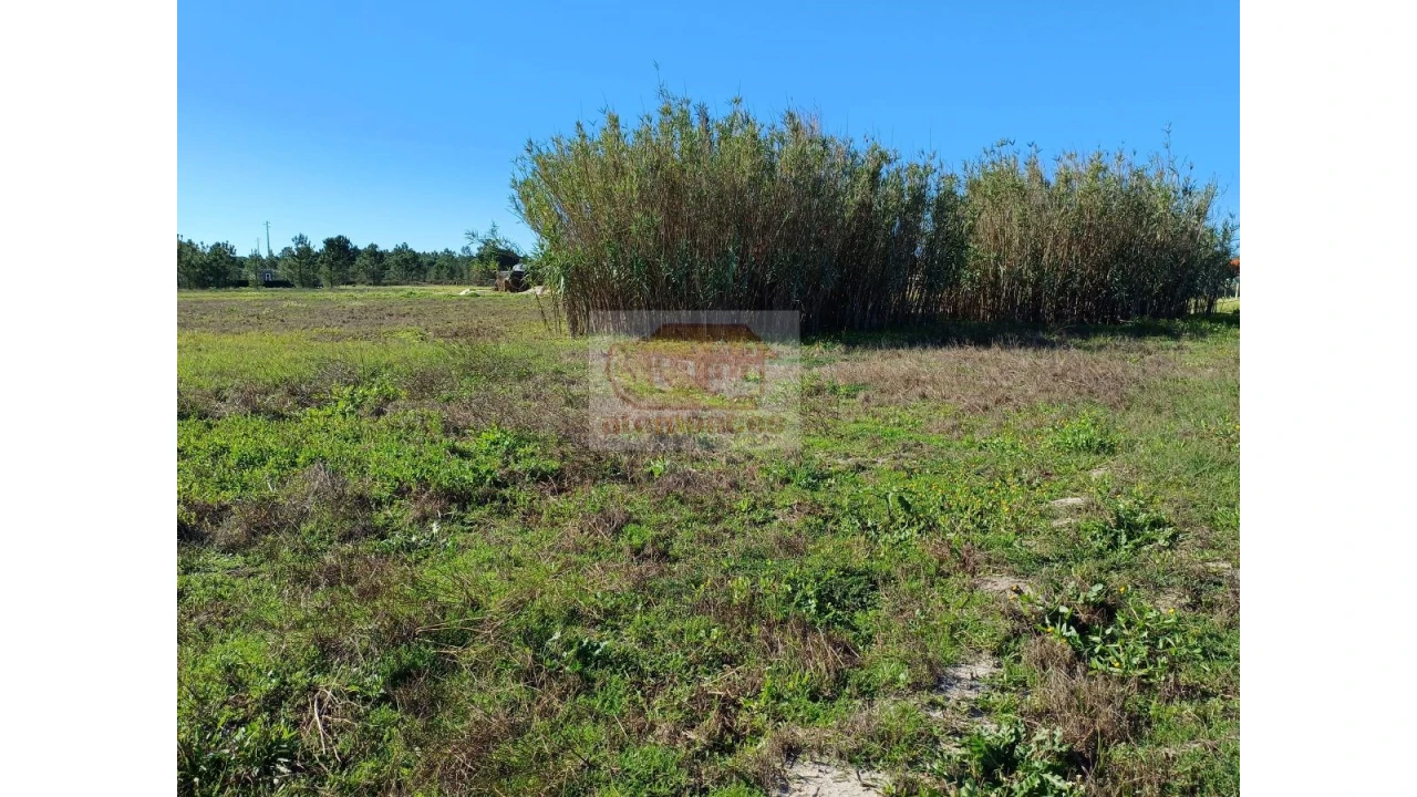 Terreno para Venda em Santa Maria do Castelo e Santiago e Santa Susana Foto 4